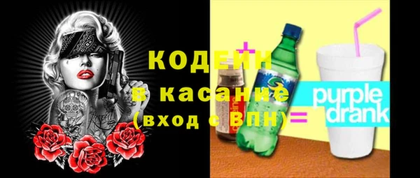 прущие грибы Бородино