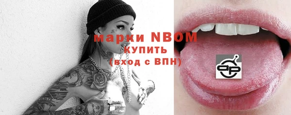 прущие грибы Бородино
