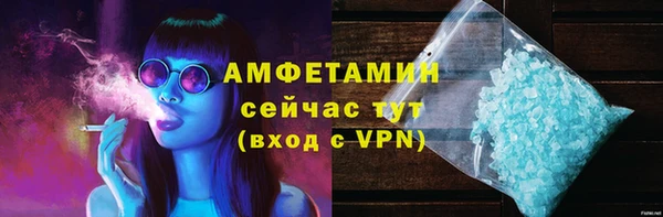 прущие грибы Бородино