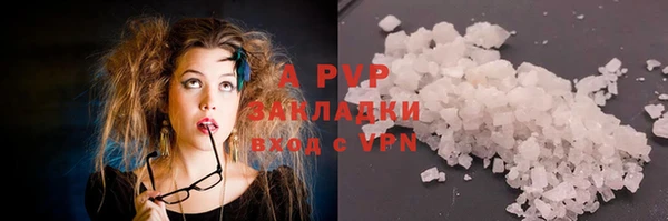 прущие грибы Бородино