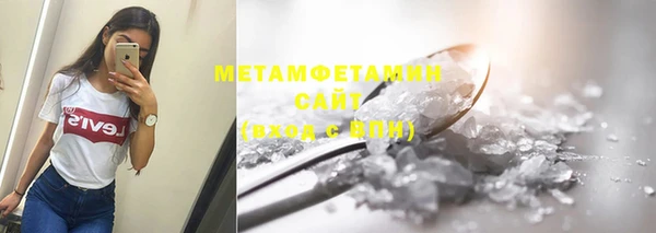 прущие грибы Бородино