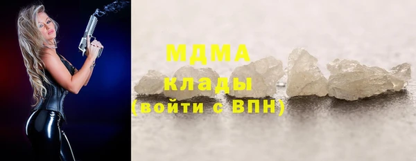 прущие грибы Бородино