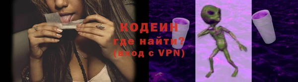 прущие грибы Бородино