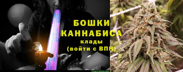 прущие грибы Бородино