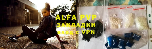прущие грибы Бородино